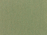 Sunbrella Fern (5487-0000)